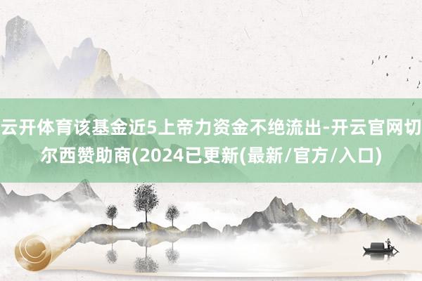 云开体育该基金近5上帝力资金不绝流出-开云官网切尔西赞助商(2024已更新(最新/官方/入口)